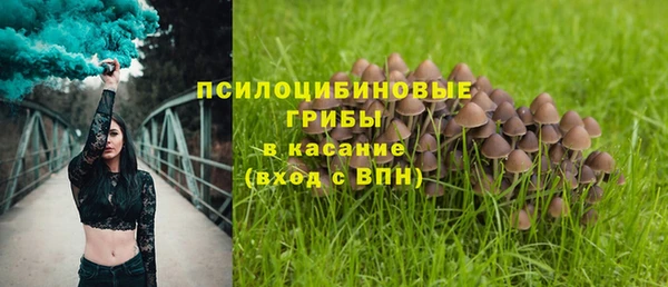 прущая мука Богданович