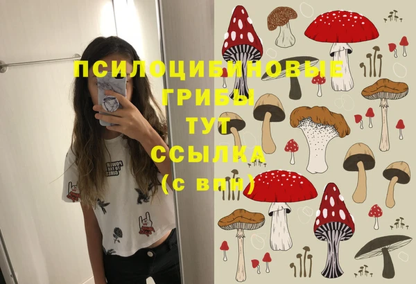 МДМА Бородино