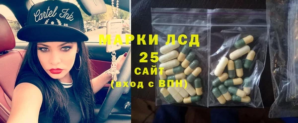 ECSTASY Богородицк