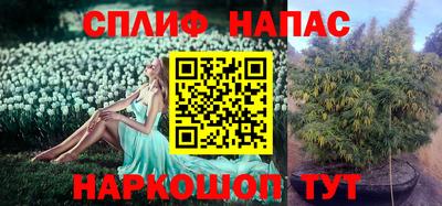 каннабис Нарткала