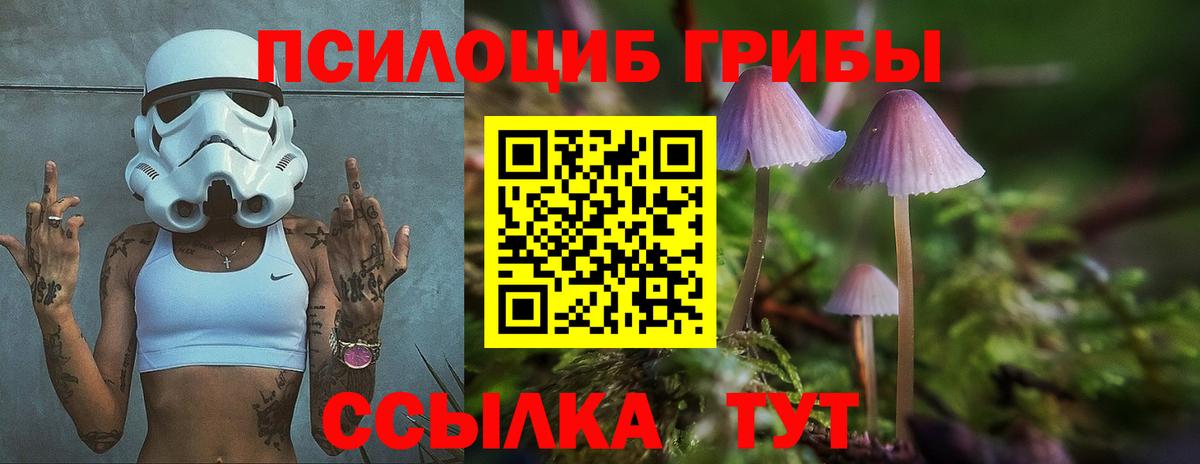 Галлюциногенные грибы Cubensis  Вход с VPN  Гулькевичи  Псилоцибиновые грибы прущие грибы 